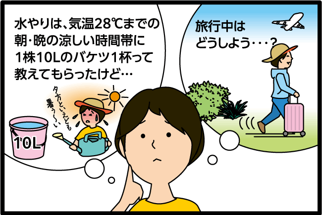 「水やりは、気温28℃までの朝・晩の涼しい時間帯に１株10Lのバケツ一杯って教えてもらったけど…」「旅行中はどうしよう。」
