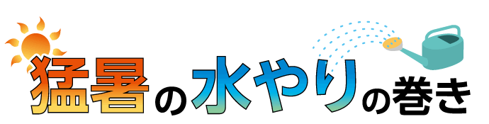 猛暑の水やりの巻