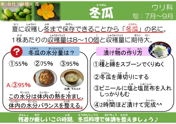 冬瓜(とうがん)