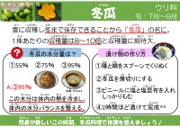 冬瓜(とうがん)