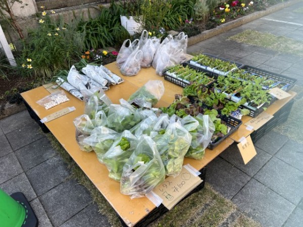 たくさんのご来場ありがとうございます。