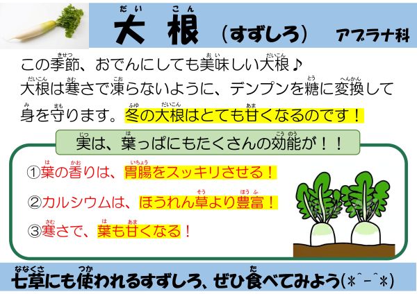 大根（すずしろ）