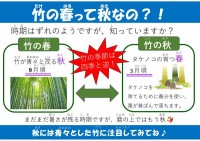 竹の春って秋なの?!